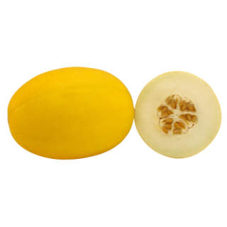 Sun No.2 Muskmelon From  Known You Seed (India)-KYI